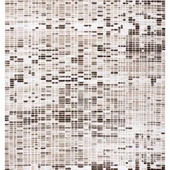 RugsX Teppich ACRYL DIZAYN 124/7058 beige - 160 x 230 cm