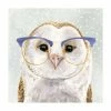 Bilderwelten Bebrillte Tiere - Eule - 200 x 200 cm - Durchmesser: 200 cm