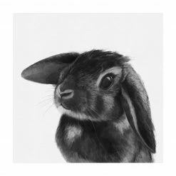 Bilderwelten Illustration Hase Schwarz Weiß Zeichnung - 160 x 160 cm - Durchmesser: 160 cm
